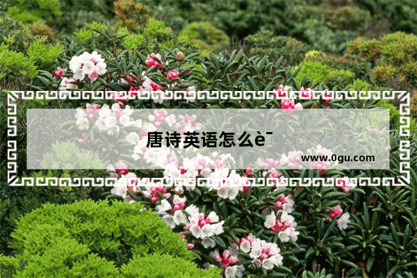 唐诗英语怎么读