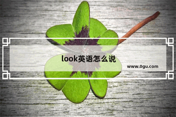 look英语怎么说
