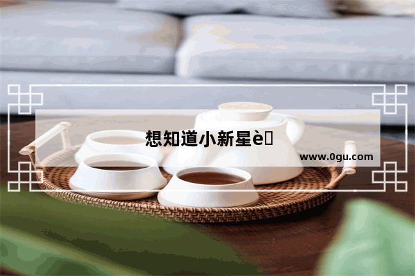 想知道小新星英语学校好不好