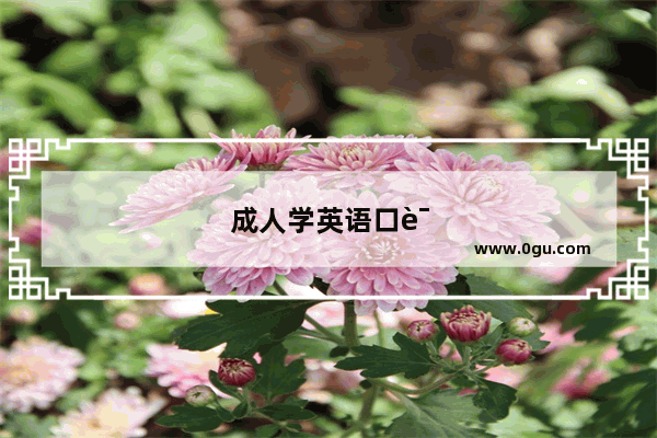 成人学英语口语快速方法