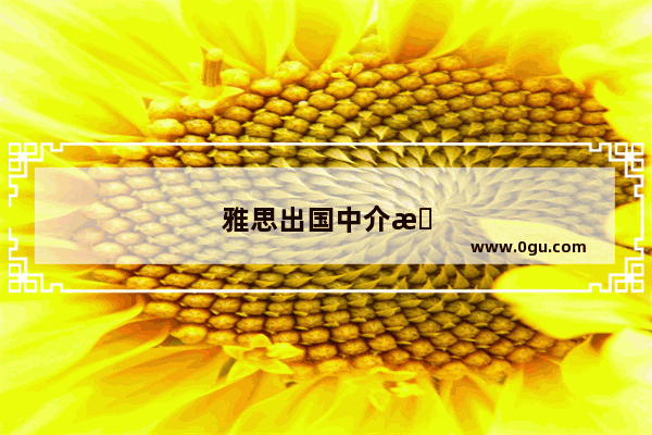 雅思出国中介怎么样