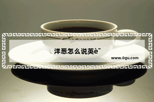 洋葱怎么说英语怎么说