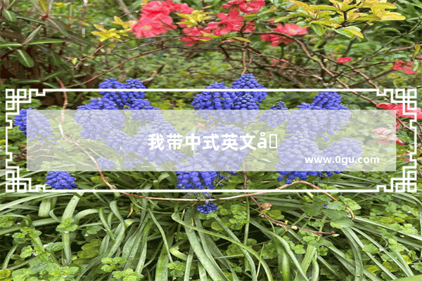我带中式英文口音 现在马上就要接触托福了 不知道会不会影响老师给我的评分