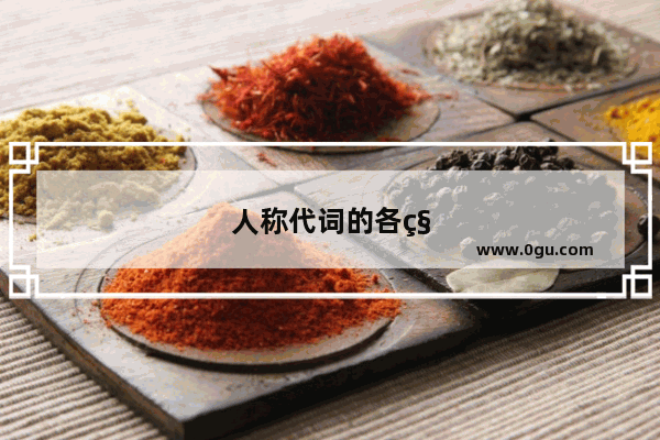 人称代词的各种形式
