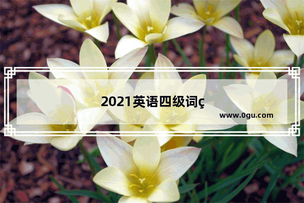 2021英语四级词组