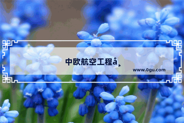 中欧航空工程师学院具体的录取资格是什么