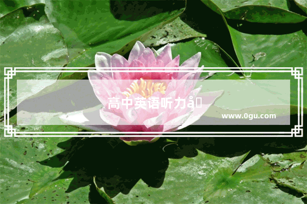 高中英语听力场景词汇大汇总