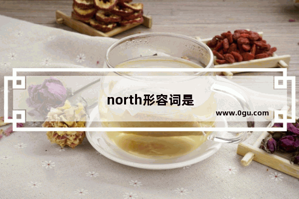 north形容词是