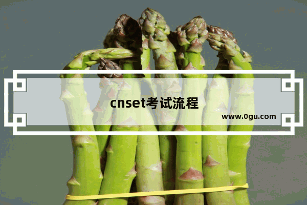 cnset考试流程