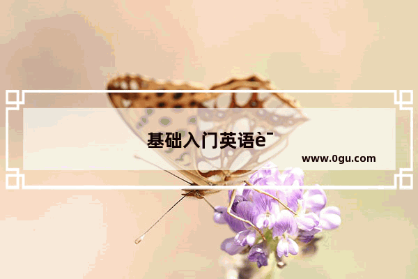 基础入门英语语法