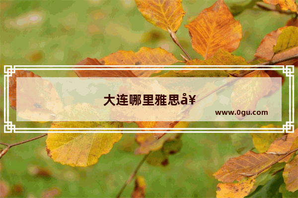 大连哪里雅思好考