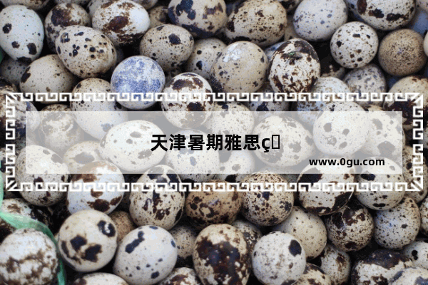 天津暑期雅思班收费标准