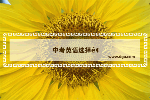 中考英语选择题选项个数有规律吗