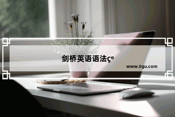 剑桥英语语法红皮