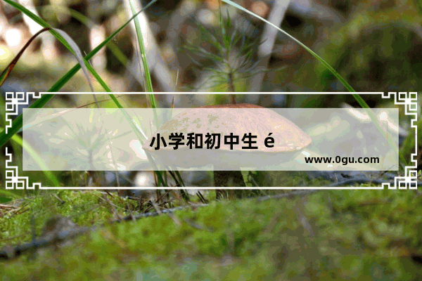 小学和初中生 适合用什么英语词典？帮忙推荐一本
