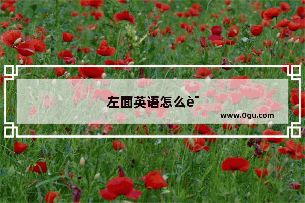 左面英语怎么说读音