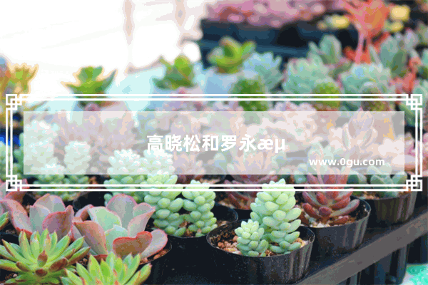 高晓松和罗永浩之间有什么过节
