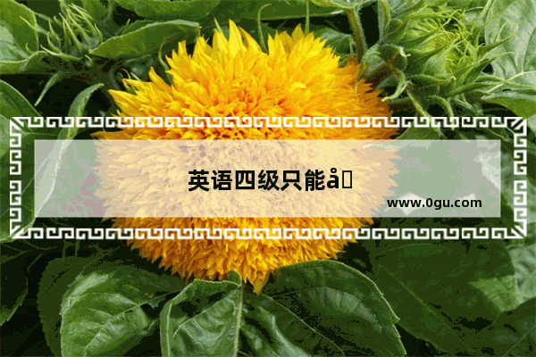 英语四级只能在学校吗知乎