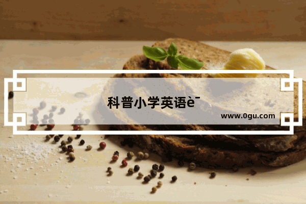 科普小学英语语法总结
