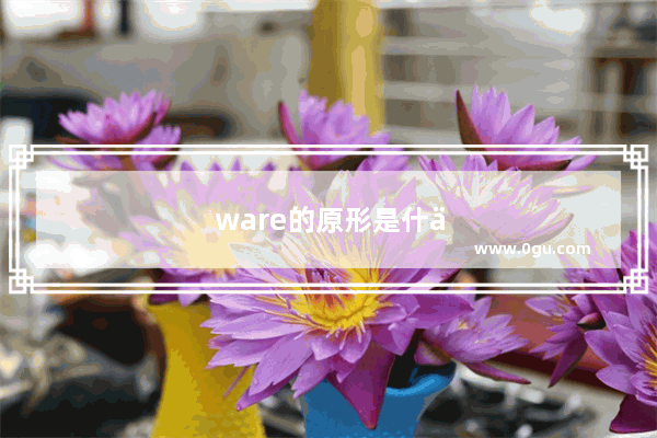 ware的原形是什么