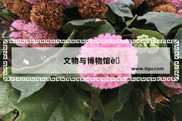 文物与博物馆考研科目