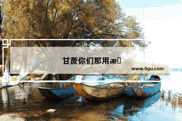 甘蔗你们那用方言怎么说