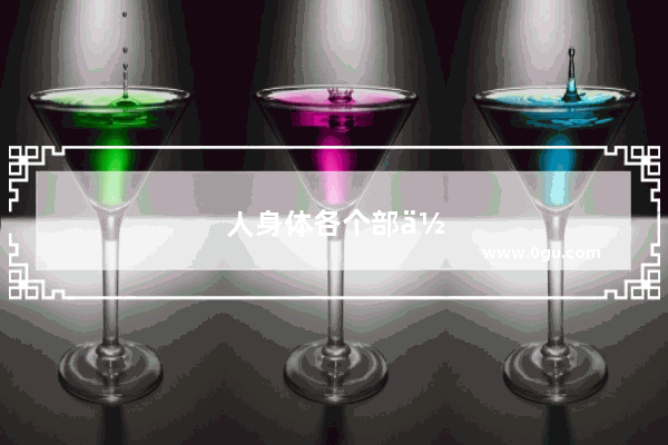 人身体各个部位的英语名称