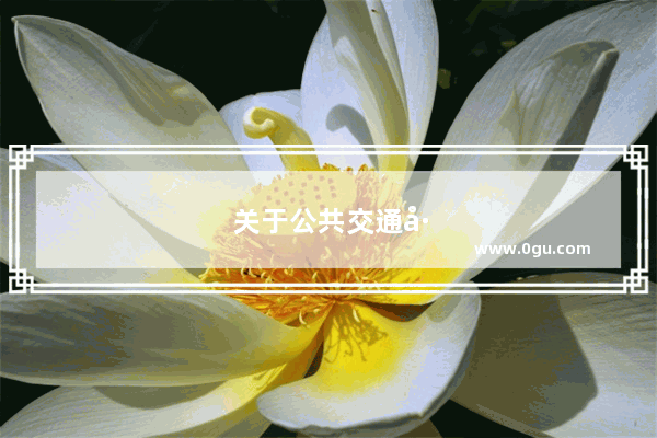 关于公共交通工具的单词,或是跟交通工具有关的,要英文的……(要比较陌生的字~~)