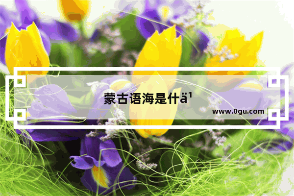 蒙古语海是什么意思