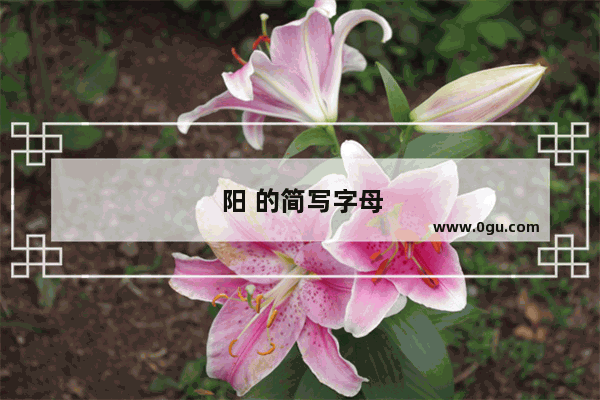 阳 的简写字母