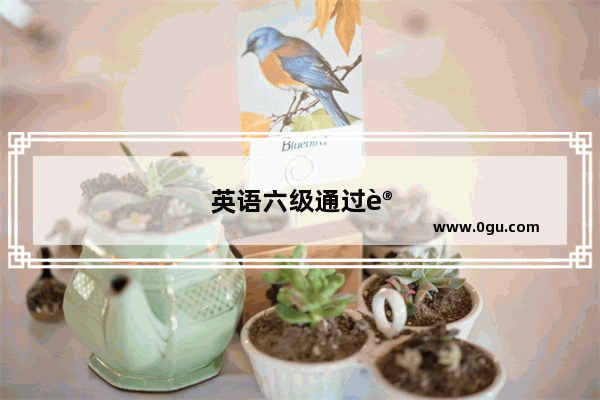 英语六级通过计划怎么写