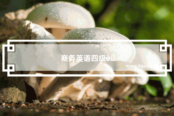 商务英语四级考多少分算过