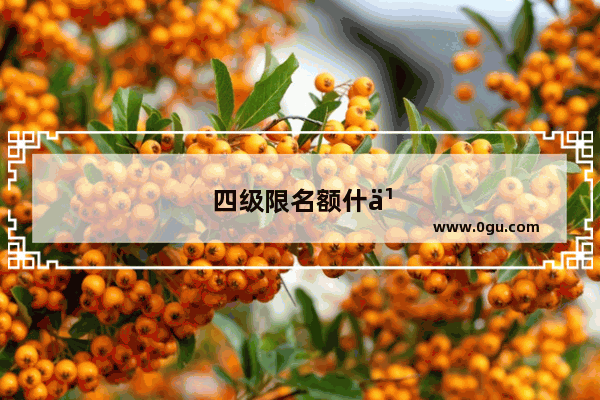 四级限名额什么意思
