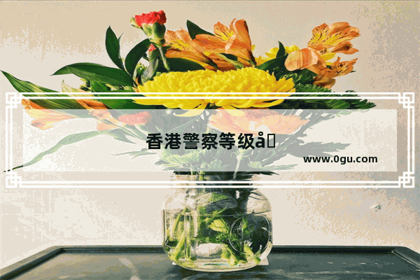 香港警察等级制度是如何分的