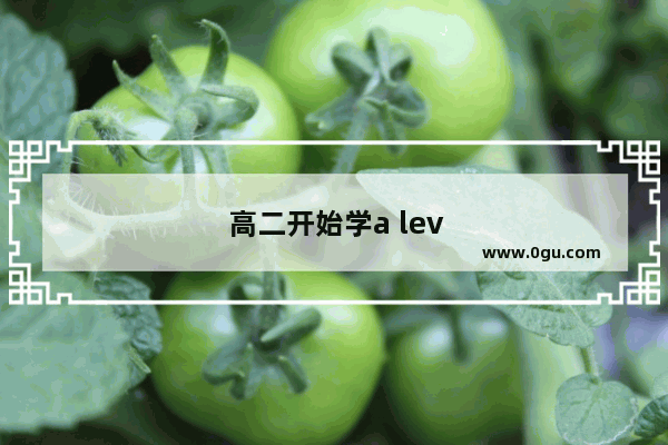高二开始学a level 学习成绩中等 能否与高考兼顾