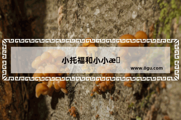 小托福和小小托福的区别是什么