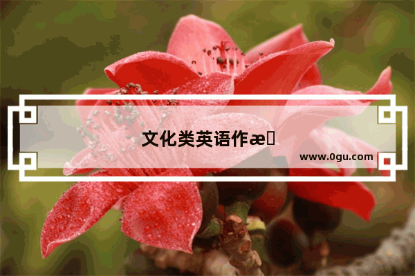 文化类英语作文万能句