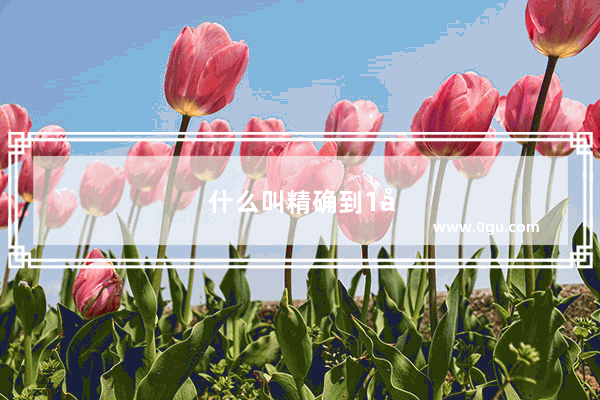 什么叫精确到1厘米那如果是1.3CM精确到1MM