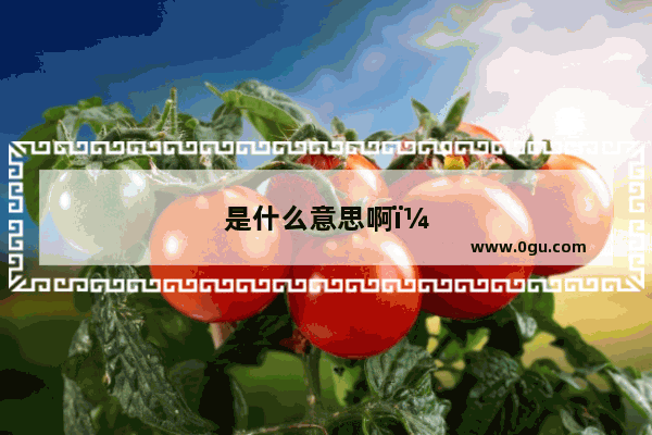 是什么意思啊？skirt