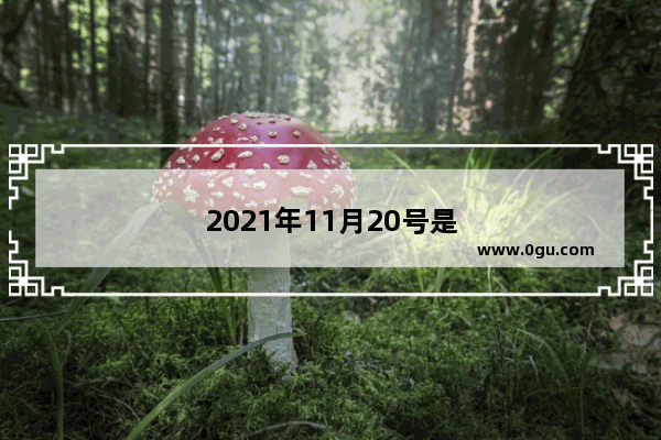 2021年11月20号是鬼节吗