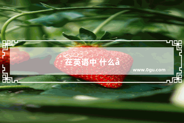 在英语中 什么单词之间要用连字符号?例如pencial