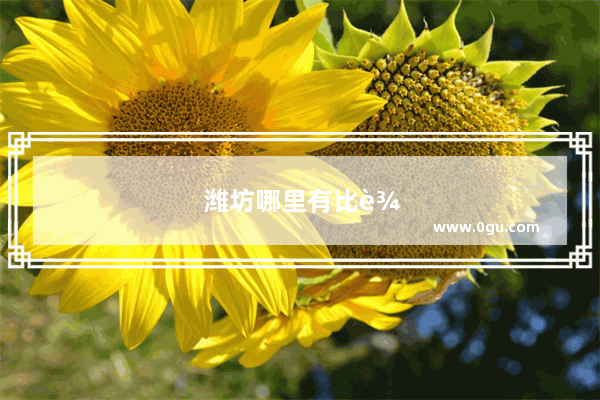 潍坊哪里有比较好的成人英语培训学校全外教英语口语培训班
