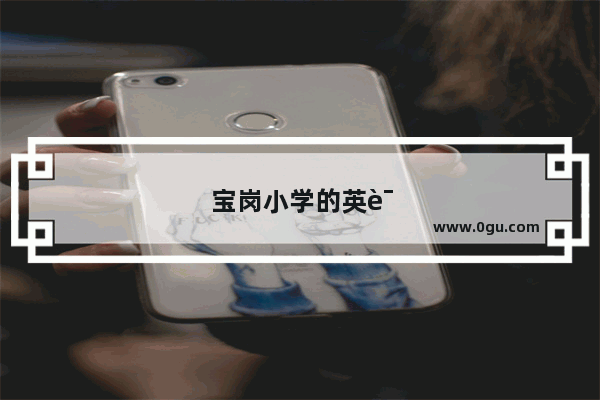 宝岗小学的英语