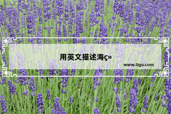 用英文描述海绵宝宝