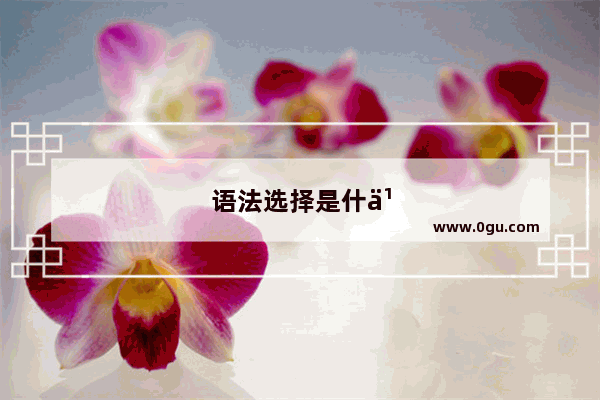 语法选择是什么意思