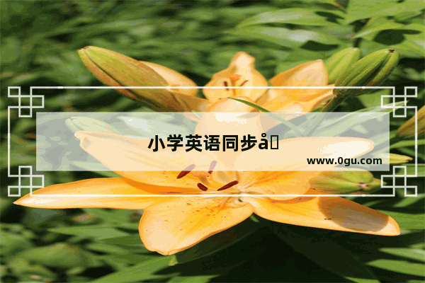小学英语同步单元重点