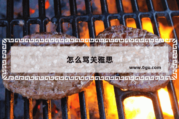 怎么骂关雅思