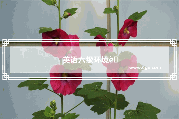 英语六级环境范文