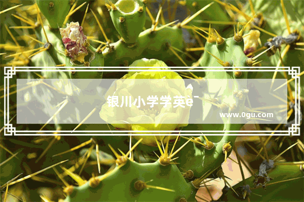 银川小学学英语吗现在