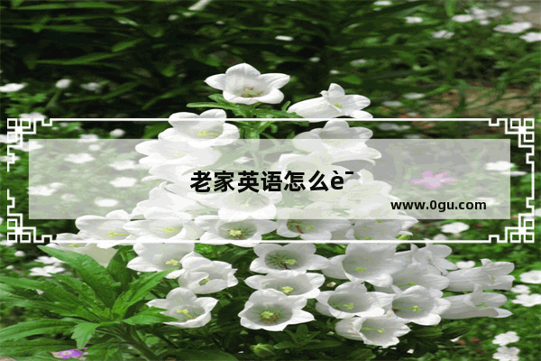 老家英语怎么说?